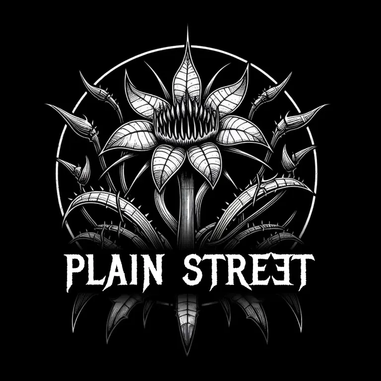 Photo de Plain Street